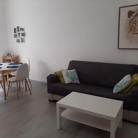 公寓 Al Cavalluccio Marino