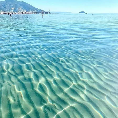 Seahorse * Alassio